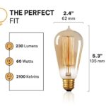 Vintage Incandescent Edison Light Bulbs 60W (6 Pack)- E26/E27 Base 2100K Dimmable Decorative Lightbulbs – ST58 Style Amber Warm Light – Antique Squirrel Filament Light Bulbs for Outdoor and Indoor