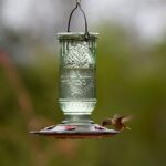 More Birds Vintage Hummingbird Feeder, Antique Glass Hummingbird Feeders for Outdoors, 5 Feeding Stations, 20 Ounces