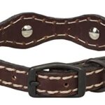 Weaver Leather Weaver Pet Vintage Paisley Collar Chocolate, 3/4″ x 17″