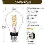 YIMILITE A21 Dimmable LED Edison Bulb 6W Equal 60 watt Soft White 2700K Clear E26 Base Vintage Spiral Filament Light Bulb for Ceiling Fan Light Bulbs and Appliance Bulb 600LM 2Pack