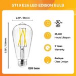 Hizashi LED Edison Bulbs, 6W, Equivalent 60W, Dimmable E26 LED Bulb, 3000K Soft White, 90+ CRI 700 Lumens, ST19 Vintage Light Bulbs, Clear Glass, Pack of 4