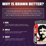 Vintage Brawn – Muscle-Building Protein Powder Isolate for Men & Women – Post-Workout & Anytime Recovery Drink – Premium Protein Isolate Sources: Egg, Milk, Beef – Vanilla Milkshake Flavor – 2.1 Lbs.