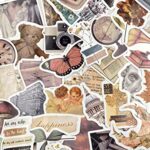 Aowplc 100 Pcs Vintage Stickers, Aesthetic Stickers for Water Bottle, Laptop, Scrapbook, Journaling, Waterproof Vinyl Stickers for Adults Teens