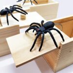 PARNIXS Rubber Spider Prank Box, Handcrafted Wooden Spider Money Surprise in a Box,Pranks Stuff Toys for Adults and Kids [Upgraded Version]