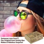 VINTAGE CANDY CO. BUBBLE GUM ASSORTMENT VARIETY PACK – Assorted Chews Incl. Fruit, Mint, Spearmint, Original Gumball Flavors and More – PERFECT For Woman Man Girl Boy College Students Teens